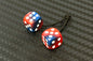 FUZZY DICE / Country Edition / USA